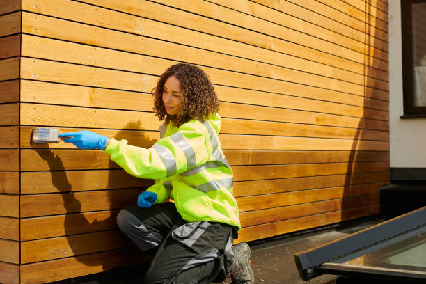 Best Fascia and Soffit Installation  in Makawao, HI